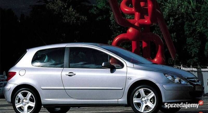 Srebrny Używany 2004 Peugeot 307 Hatchback | 10 000 zł - Obraz 1/1