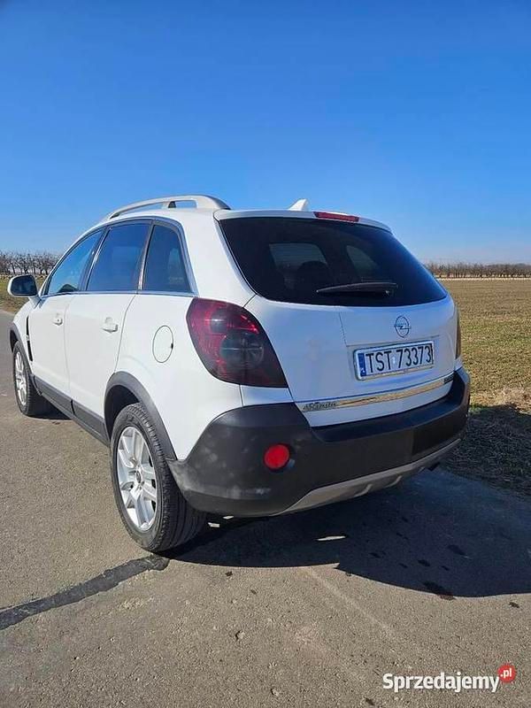 Używany Opel Antara 2009 Biały SUV