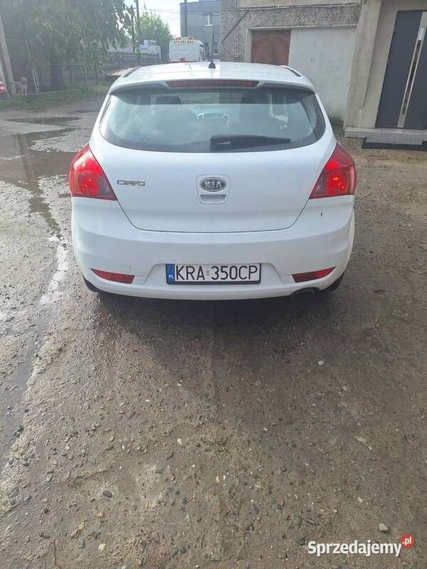 Obraz 2/4