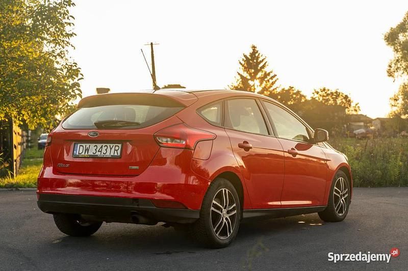 Używany Ford Focus 150 KM (110 kW) 2015