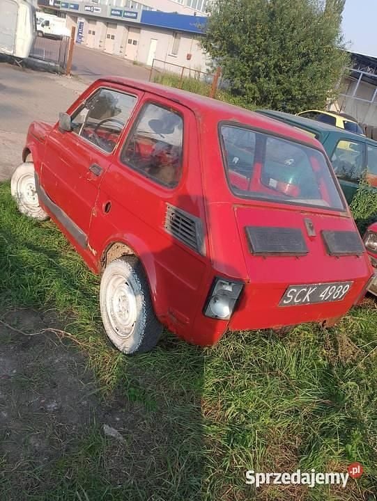 Obraz 4/4
