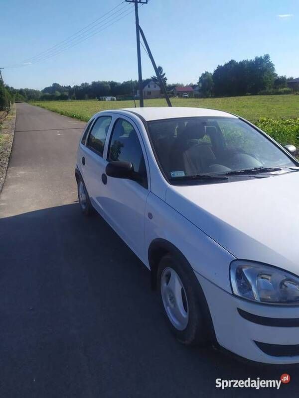 Biały Używany 2005 Opel Corsa Hatchback | 5000 zł (Drogi) - Obraz 1/4