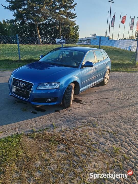 Obraz 4/4