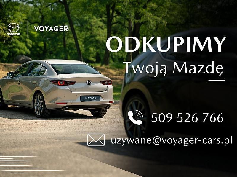 Obraz 3/3