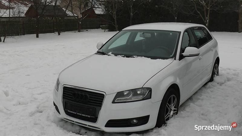 Używany Audi A3 2010 Biały Hatchback