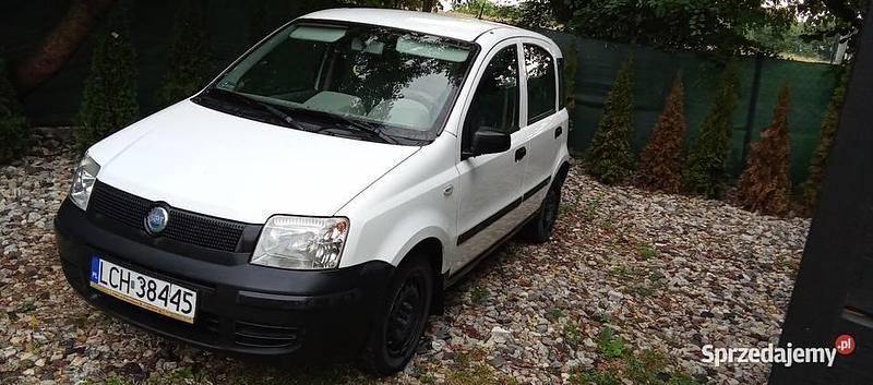 Biały Używany 2005 Fiat Panda Hatchback | 1100 zł (Dobra cena) - Obraz 1/4