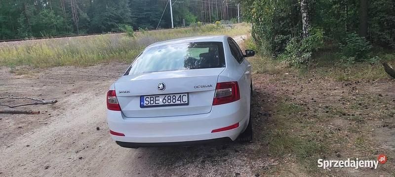 Biały Używany 2014 Skoda Octavia Hatchback | 27 500 zł (Dość drogi) - Obraz 1/4