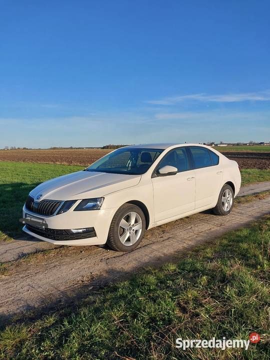 Biały Używany 2019 Skoda Octavia Hatchback | 48 000 zł (Uczciwa cena) - Obraz 1/4