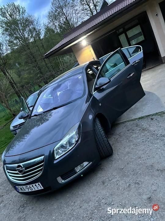 Grafitowy Używany 2009 Opel Insignia Hatchback | 17 500 zł (Uczciwa cena) - Obraz 1/4