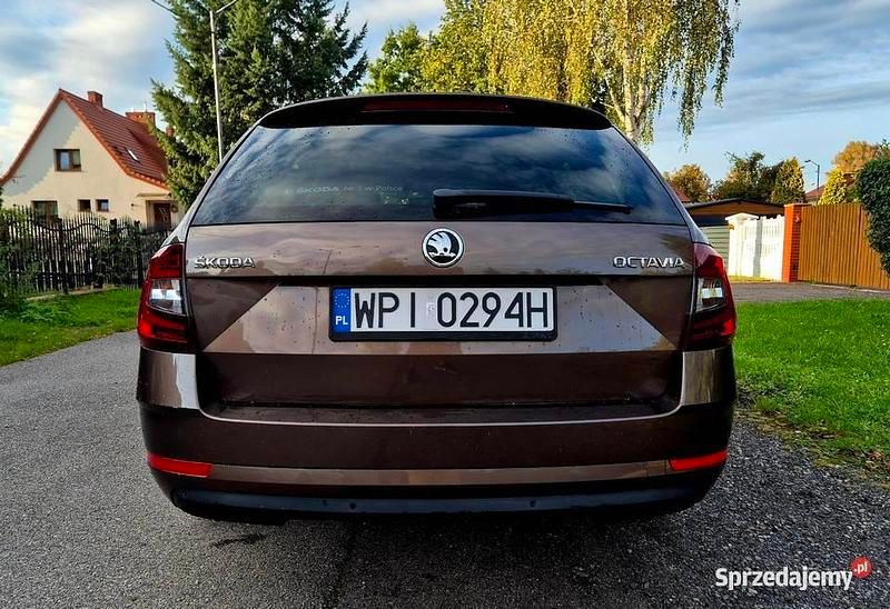 Używany Skoda Octavia Style 150 KM (110 kW) 2018 Brązowy Kombi