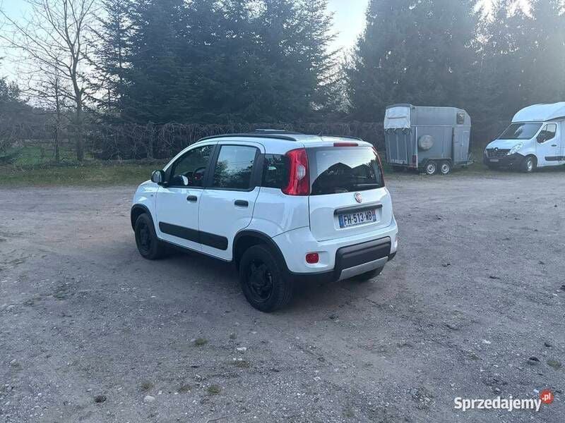 Obraz 4