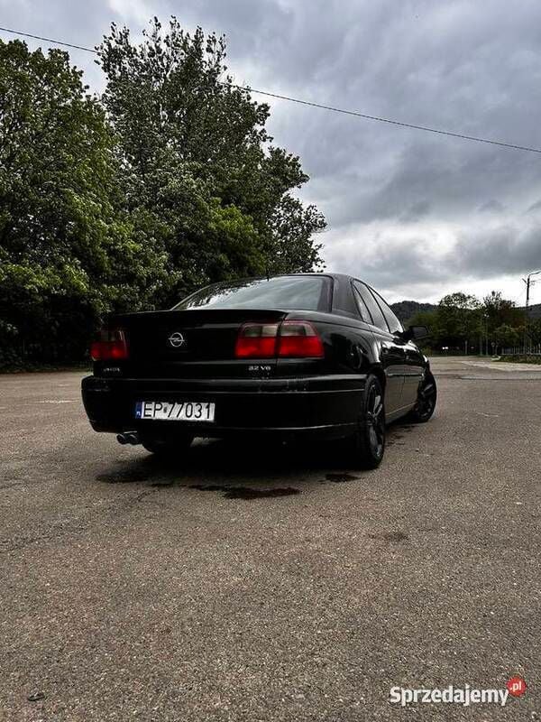 Obraz 4/4