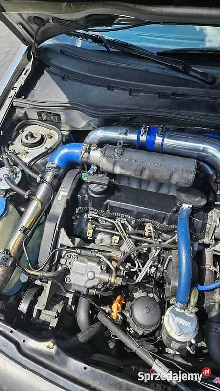 Używany 2000 Cupra Ibiza | 10 500 zł - Obraz 1/4