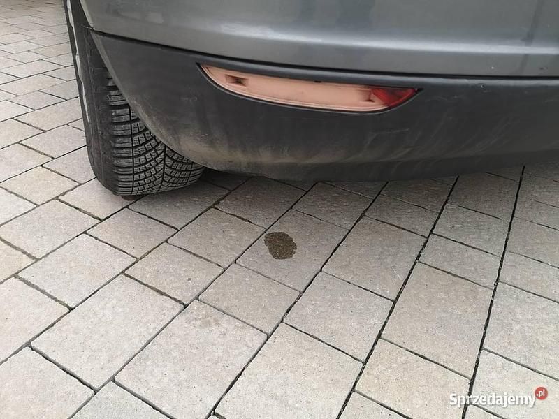 Używany VW Golf Plus Cross 2008 Minivan