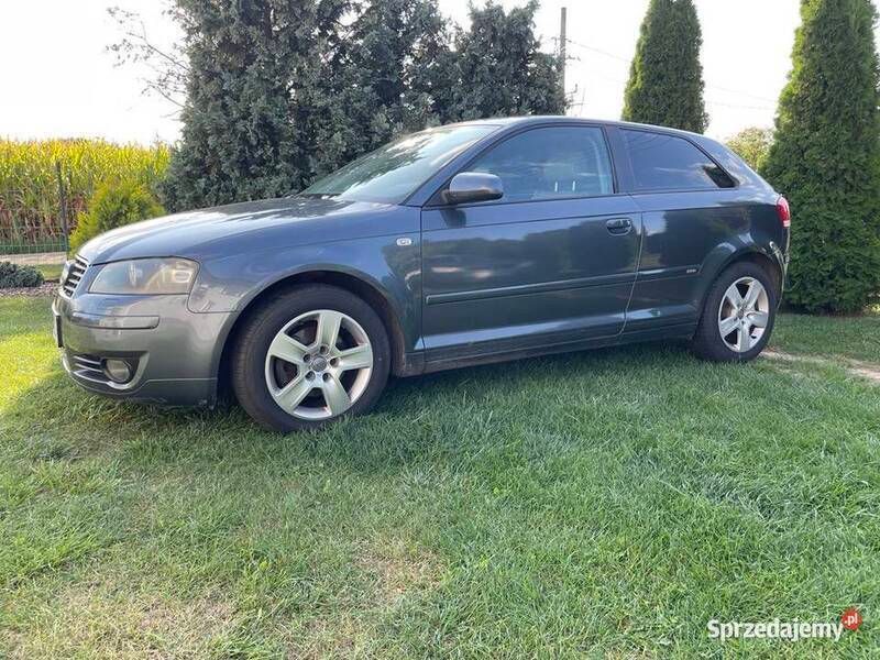 Używany 2003 Audi A3 Hatchback | 14 900 zł - Obraz 1/4