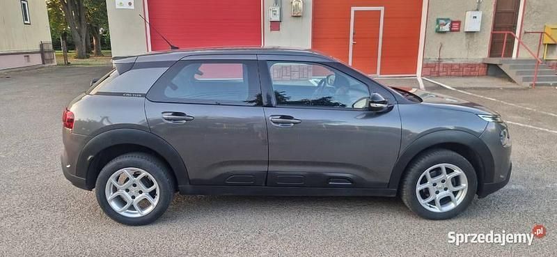 Używany 2019 Citroën C4 Cactus Hatchback | 42 900 zł (Uczciwa cena) - Obraz 1/4