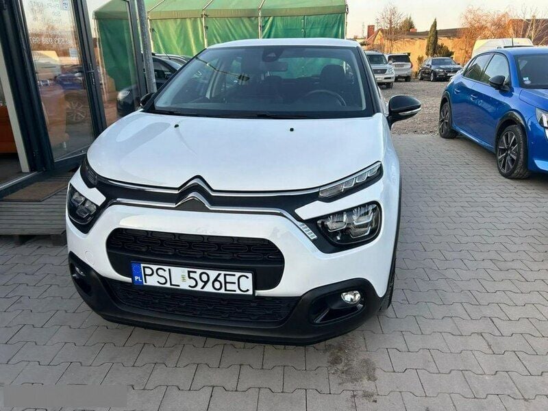 Obraz 3/4