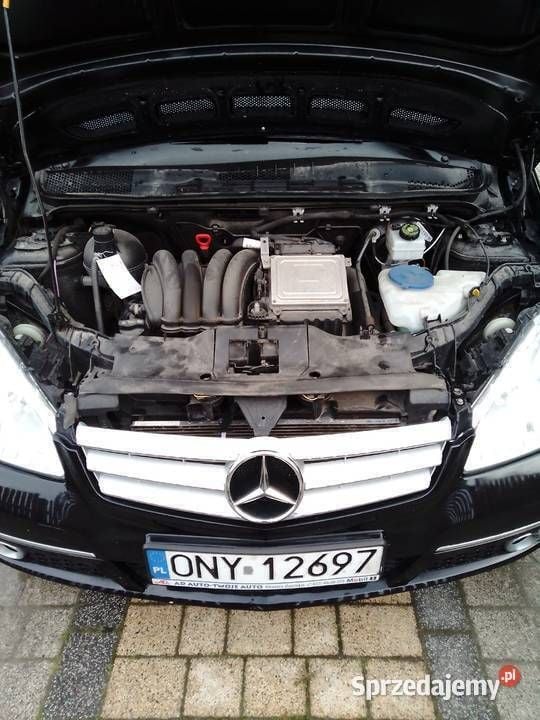 Obraz 4/4