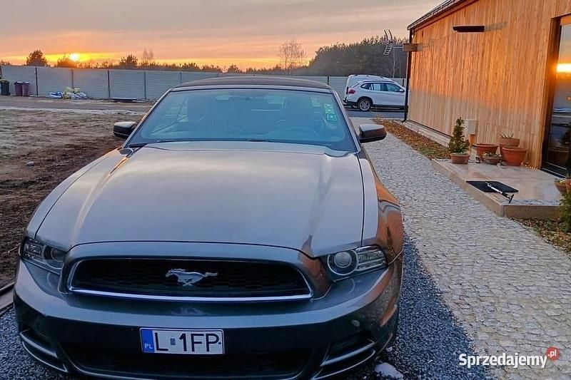Używany 2013 Ford Mustang | 66 000 zł (Drogi) - Obraz 1/4