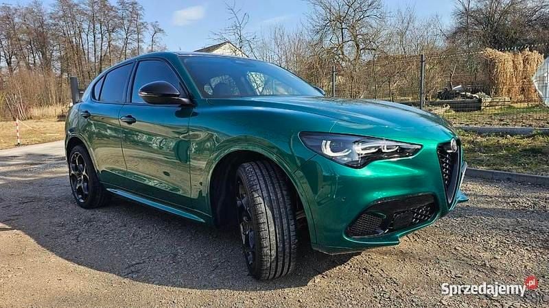 Używany Alfa Romeo Stelvio Ti 280 KM (205 kW) 2024 SUV
