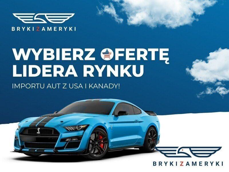 Obraz 2