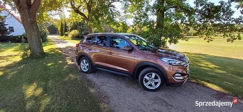 Używany 2017 Hyundai Tucson SUV | 52 000 zł (Super Cena) - Obraz 1/4