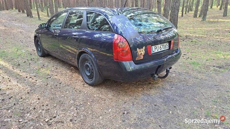 Granatowy Używany 2002 Nissan Primera Kombi | 3600 zł (Dobra cena) - Obraz 1/4