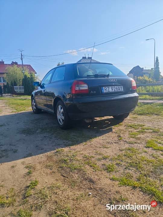 Obraz 2/4