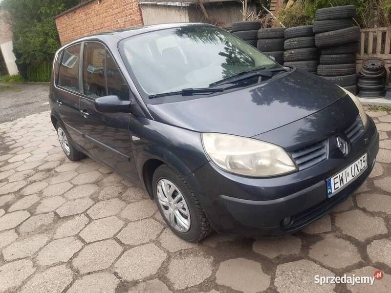 Używany Renault Mégane II 2005