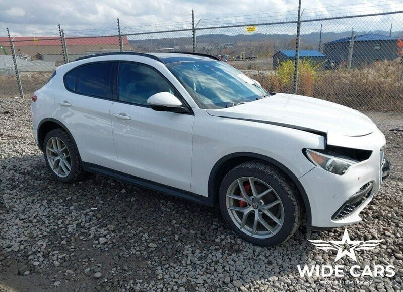 Biały (metalik) Używany 2018 Alfa Romeo Stelvio SUV | 48 100 zł - Obraz 1/4