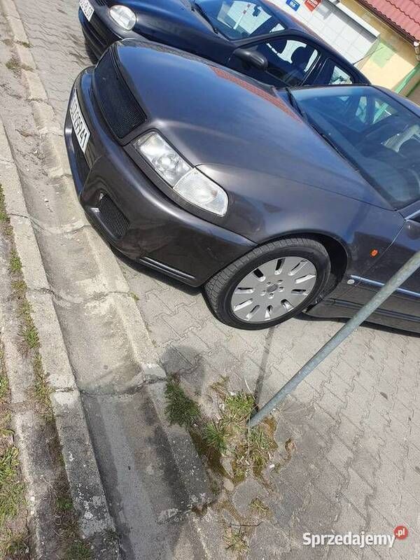 Obraz 4