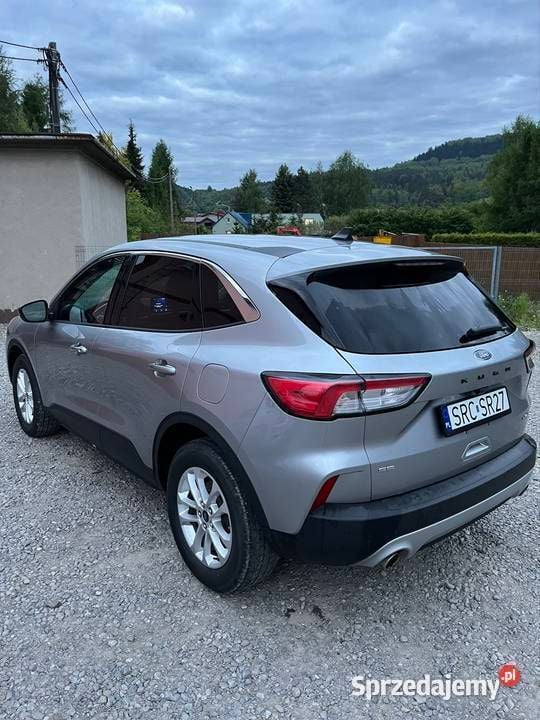 Obraz 2/4