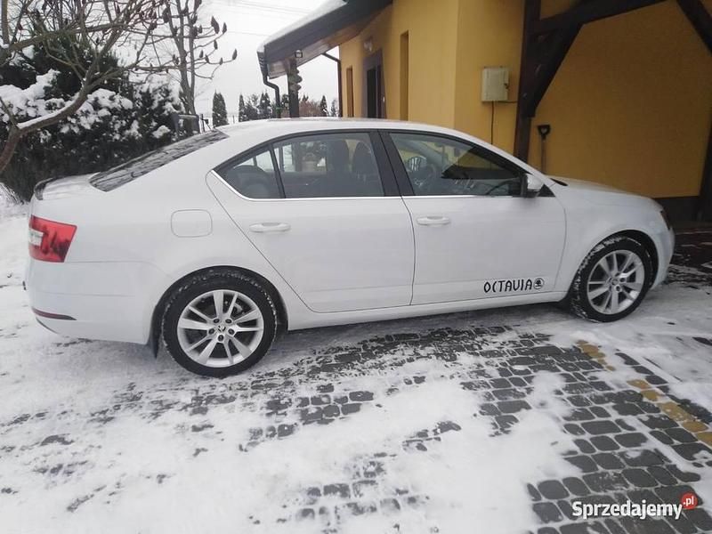 Biały Używany 2017 Skoda Octavia Style Sedan/Limuzyna | 60 000 zł (Uczciwa cena) - Obraz 1/4