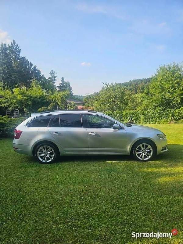 Używany 2019 Skoda Octavia | 47 990 zł (Dobra cena) - Obraz 1/4