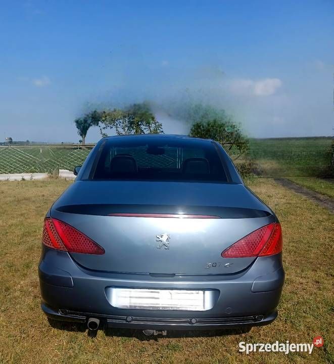 Szary Używany 2004 Peugeot 307 CC Kabriolet | 6000 zł - Obraz 1/2