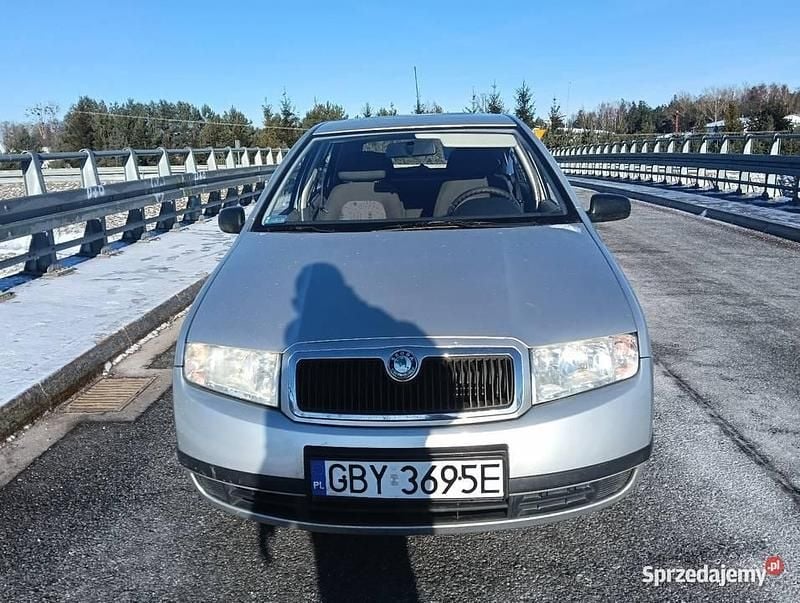 Srebrny Używany 2004 Skoda Fabia Hatchback | 2900 zł (Uczciwa cena) - Obraz 1/4