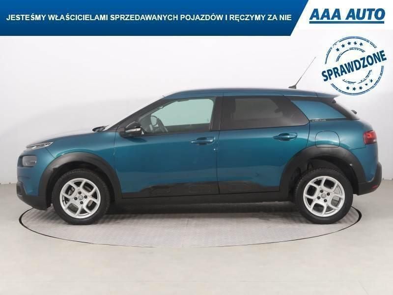 Obraz 4/4