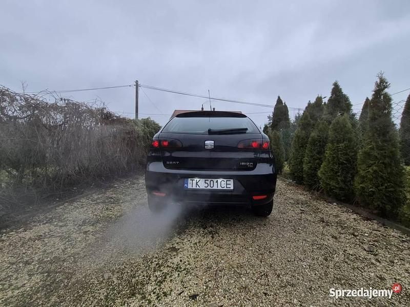 Używany Seat Ibiza 2004 Hatchback
