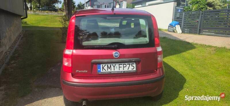 Używany 2003 Fiat Panda Hatchback | 2500 zł (Dobra cena) - Obraz 1/4