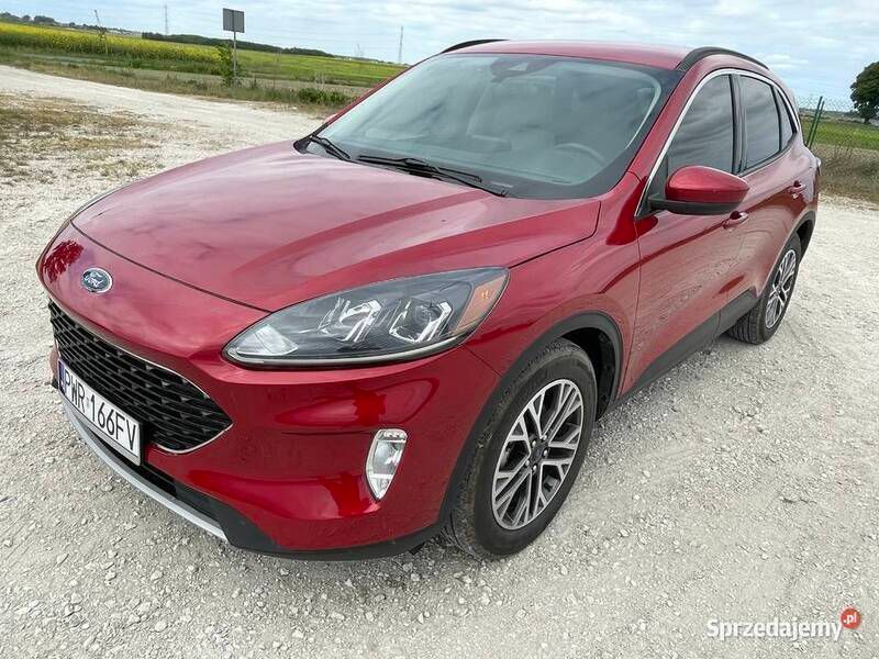 Używany 2020 Ford Escape SEL SUV | 79 900 zł (Uczciwa cena) - Obraz 1/4