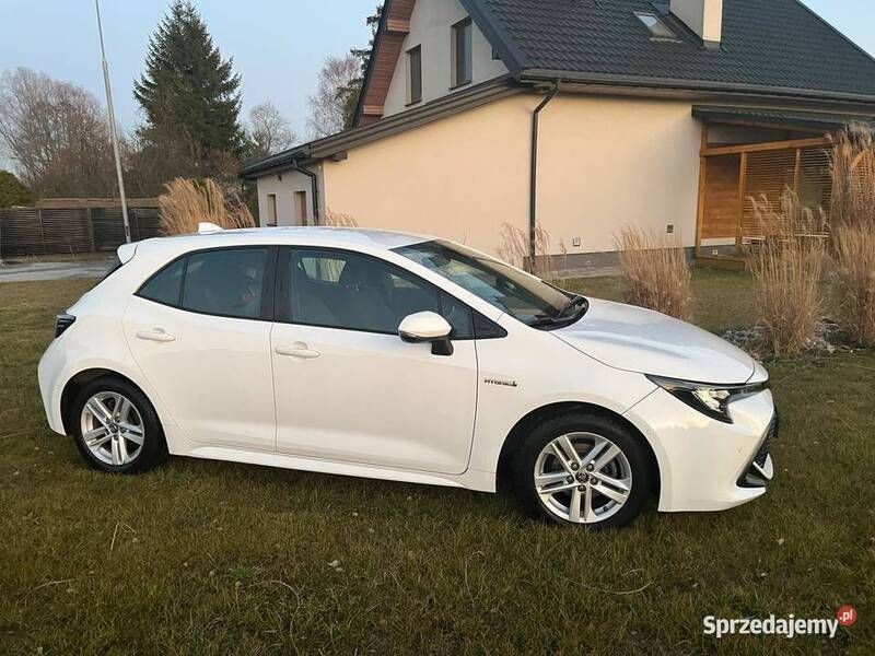 Obraz 2/4