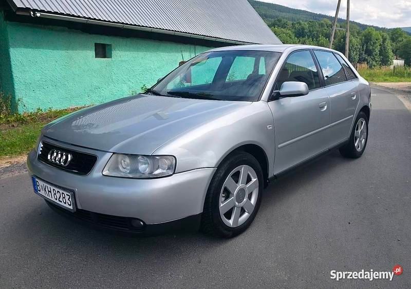 Srebrny Używany 2001 Audi A3 Hatchback | 5900 zł - Obraz 1/4