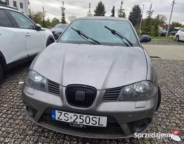 Szary Używany 2006 Seat Ibiza Hatchback | 8800 zł (Uczciwa cena) - Obraz 1/4