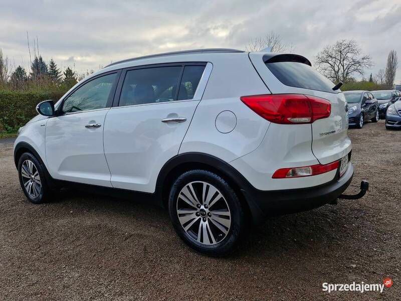 Biały Używany 2015 Kia Sportage SUV | 57 900 zł (Uczciwa cena) - Obraz 1/4