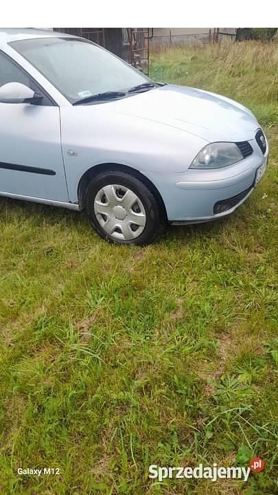 Używany Seat Ibiza 2002 Hatchback