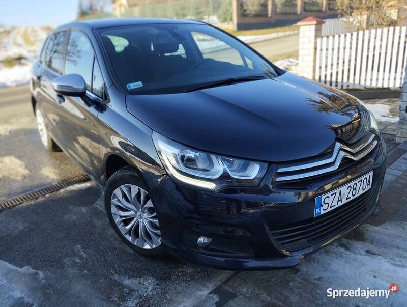 Obraz 2/4