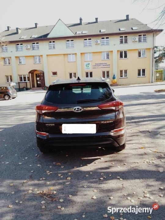 Obraz 3/4