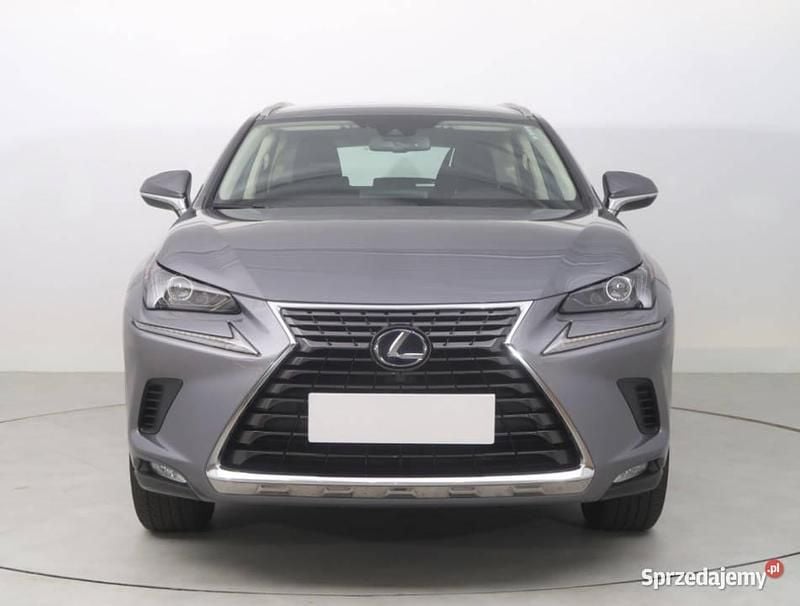 Szary Używany 2019 Lexus NX300h SUV | 123 999 zł - Obraz 1/4