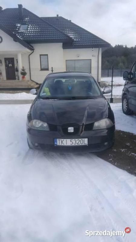 Używany Seat Ibiza 2004 Hatchback