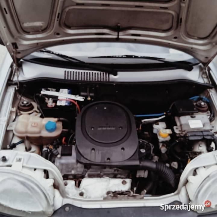 Używany 2004 Fiat Seicento Hatchback | 5800 zł - Obraz 1/4